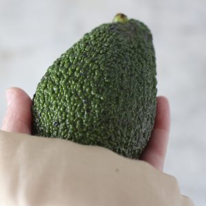Aguacate